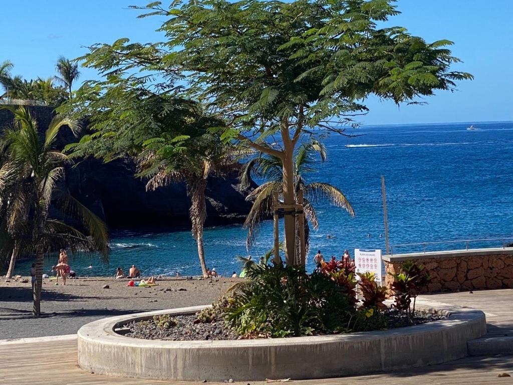 Apartment Luxury In Playa Paraiso